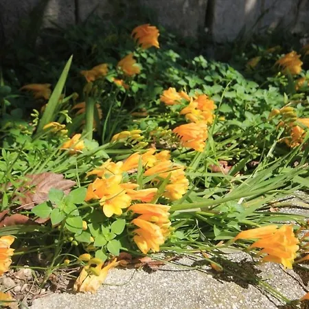 By The Sea Suhi Potok, Omis - 8676 Apartman *